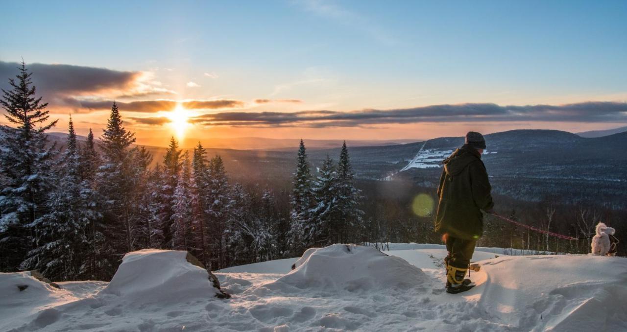 Chalets Du Domaine - De Luxe Notre-Dame-Des-Bois Екстер'єр фото